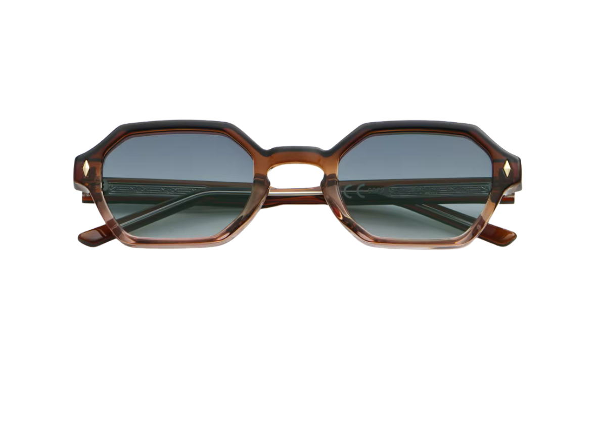 Vanguard Brown